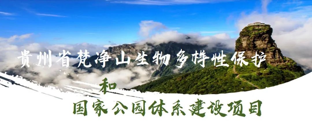 0?wx_fmt=png 图片